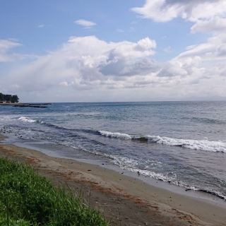 登り口網 完了 2020/4/23