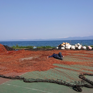 垣網修繕(1日目) 2020/4/25