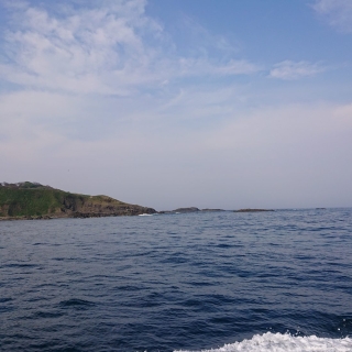 エゾ網の準備② 2020/5/3