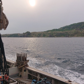 垣網ワイヤーロープ設置 2020/5/9