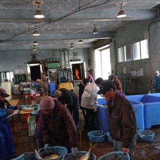 ツノラ漁 2020/5/10