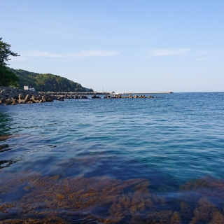 今週のハイライト 2020/5/12-16