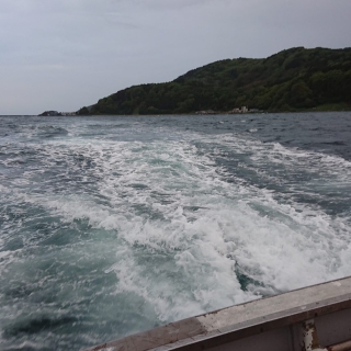 金庫網初おこし 2020/5/21