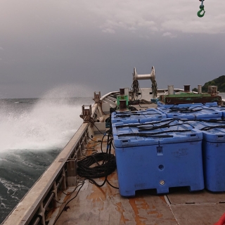 時化て休み 2020/5/20