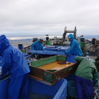 ツノラ底網 2020/5/22