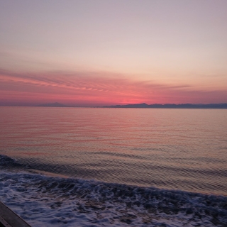 体験乗船会 2020/6/1