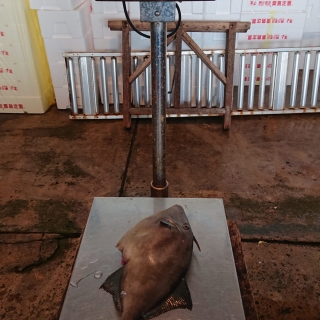 今朝の大物 2020/7/14