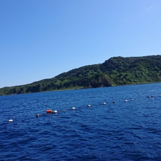 エゾ網上げ 2021/9/21